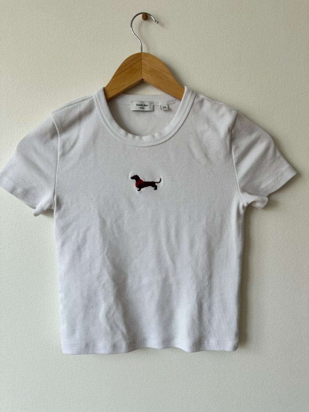 Aritzia Sunday Best BestHug Little Ribbed Icon T-shirt